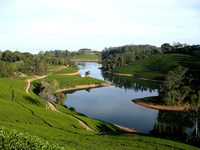 Tamil Nadu